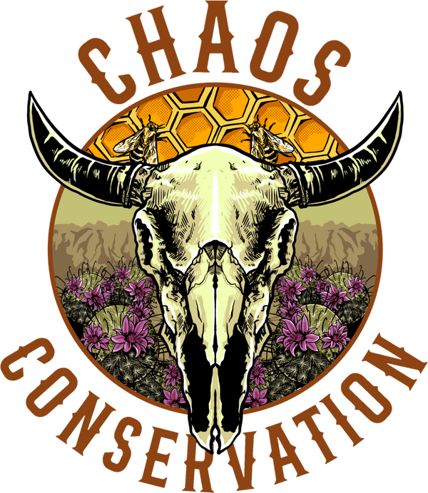 Chaos Conservation